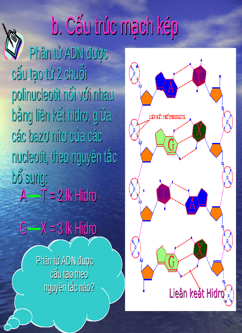 image for page Axitnucleic