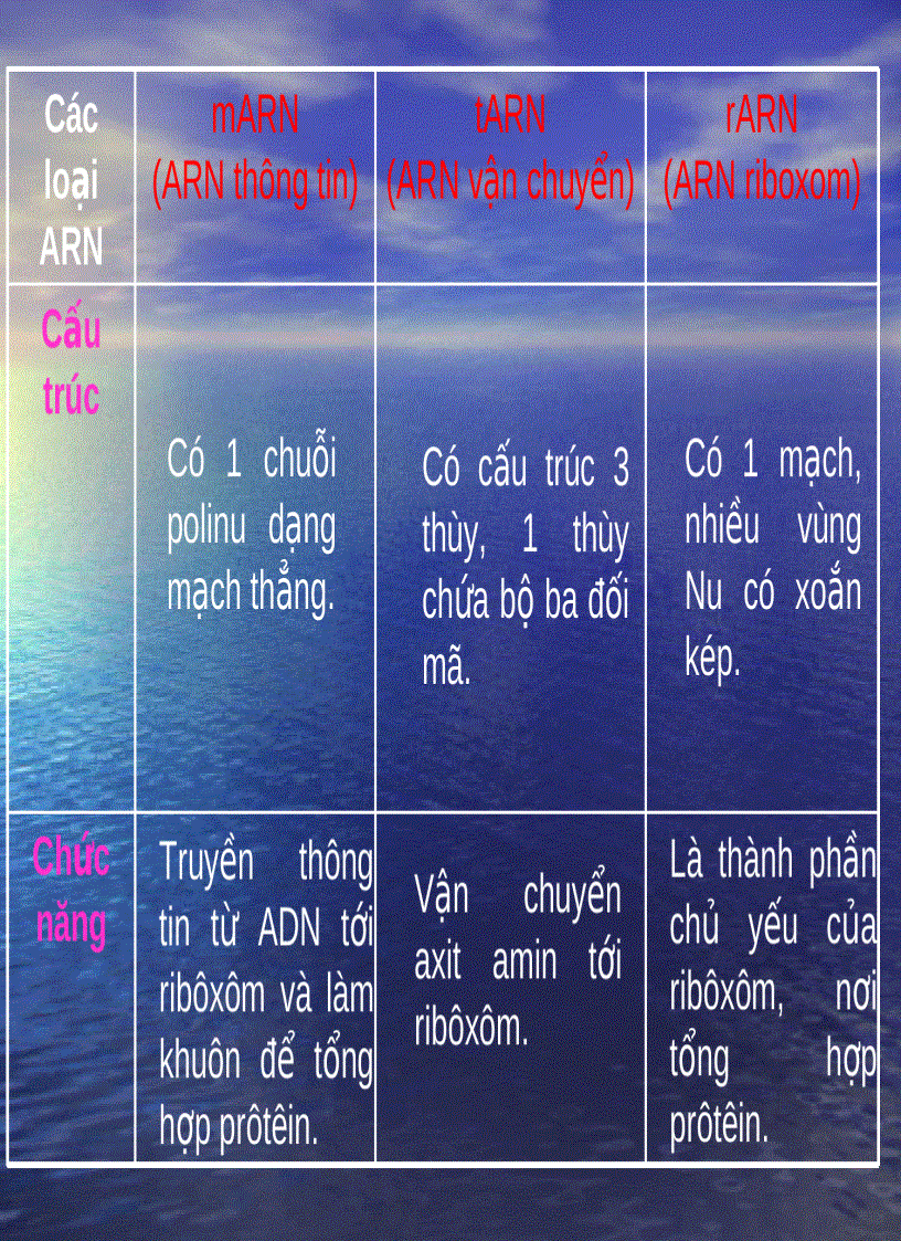 image for page Axitnucleic