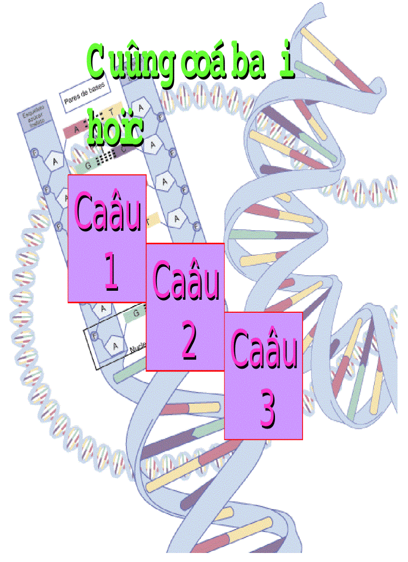 image for page Axitnucleic