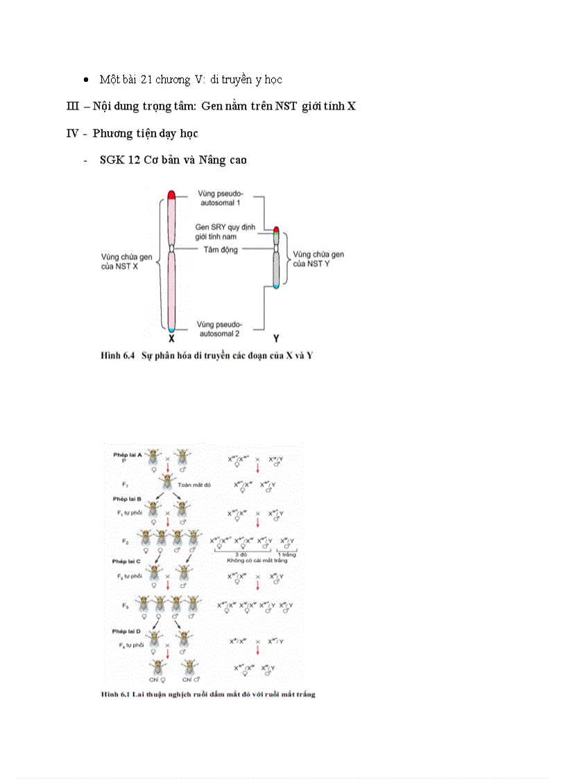 image for page Bài 12 sinh học 12CB