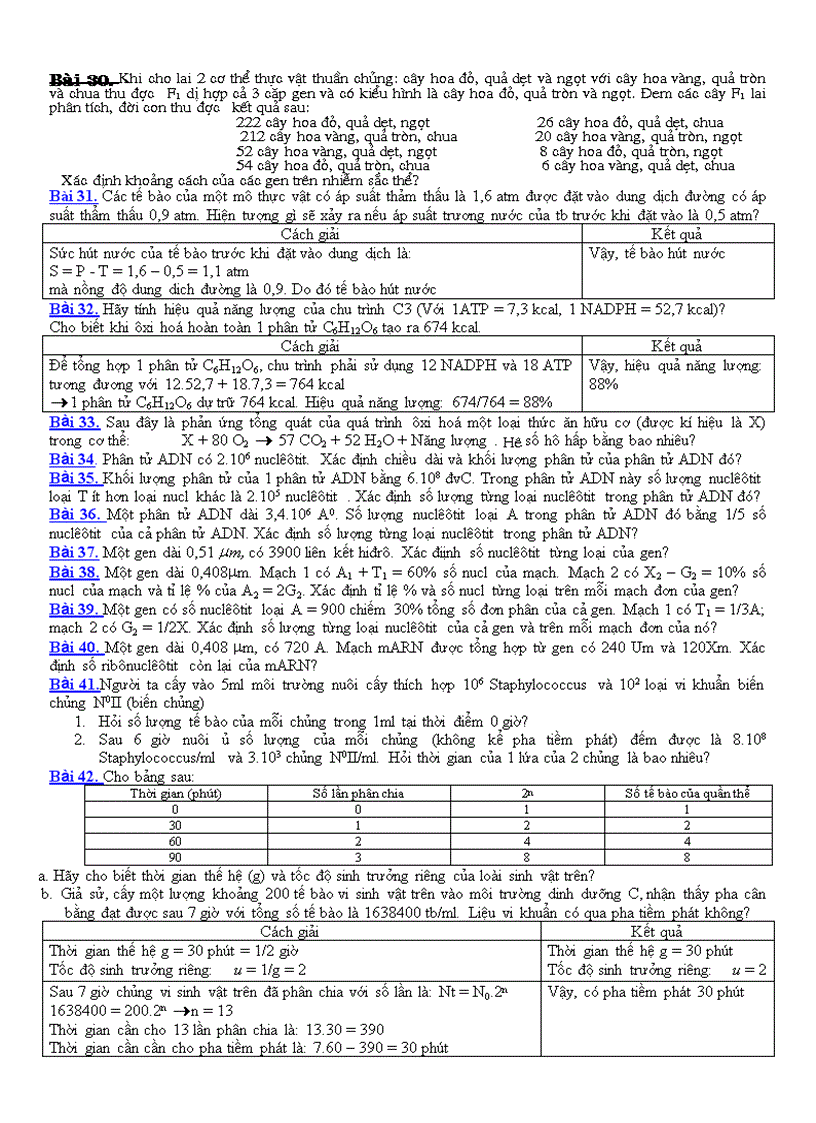 image for page Cac de luyen thi may tinh bo tui