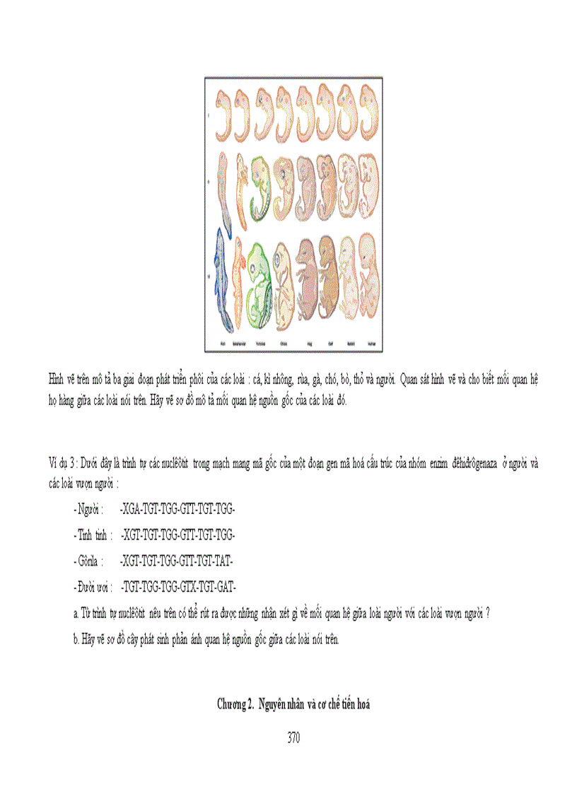 image for page Chuẩn kt kn sinh học thpt
