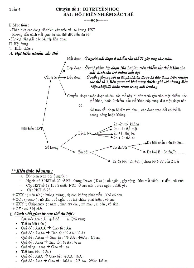 image for page Chuyen de dot bien nst