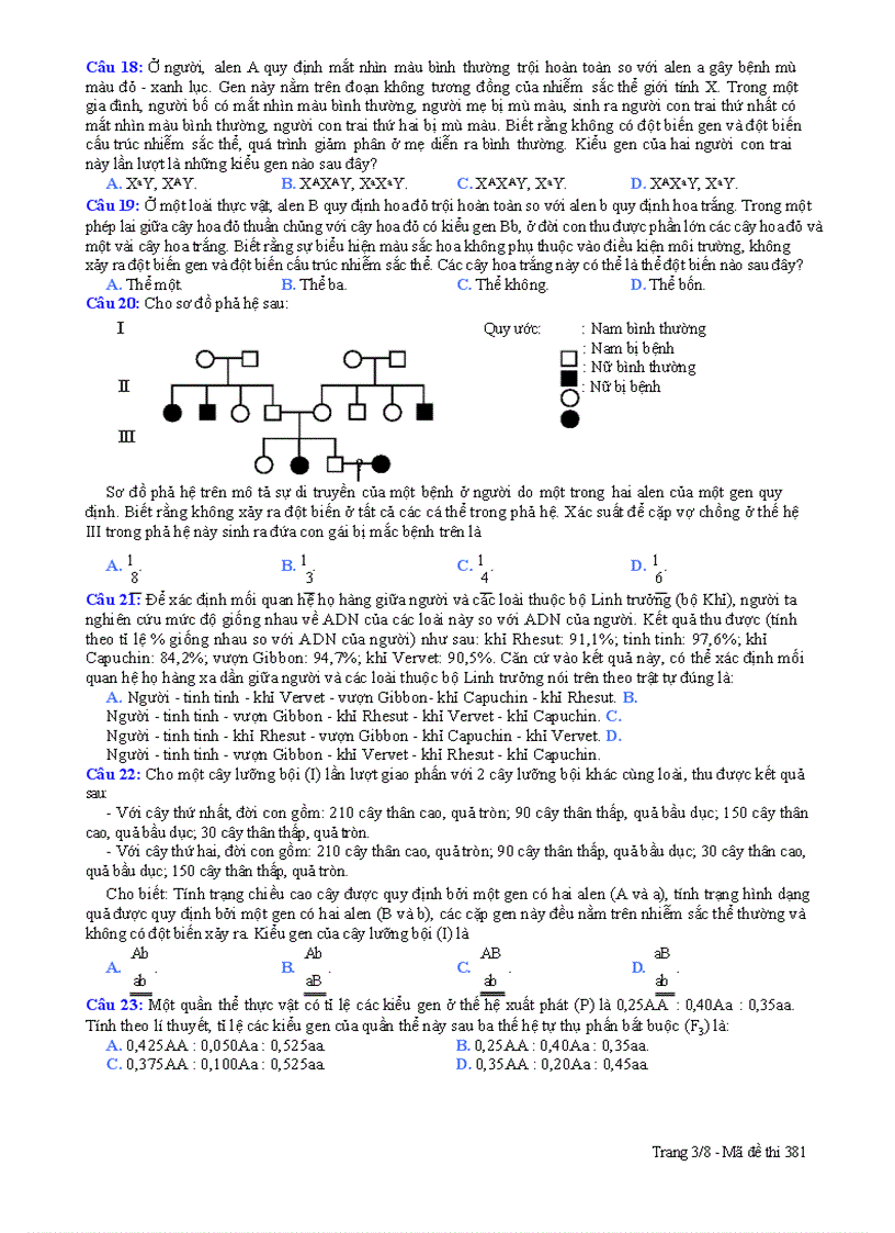 image for page Đề thi đh sinh b m381 2010