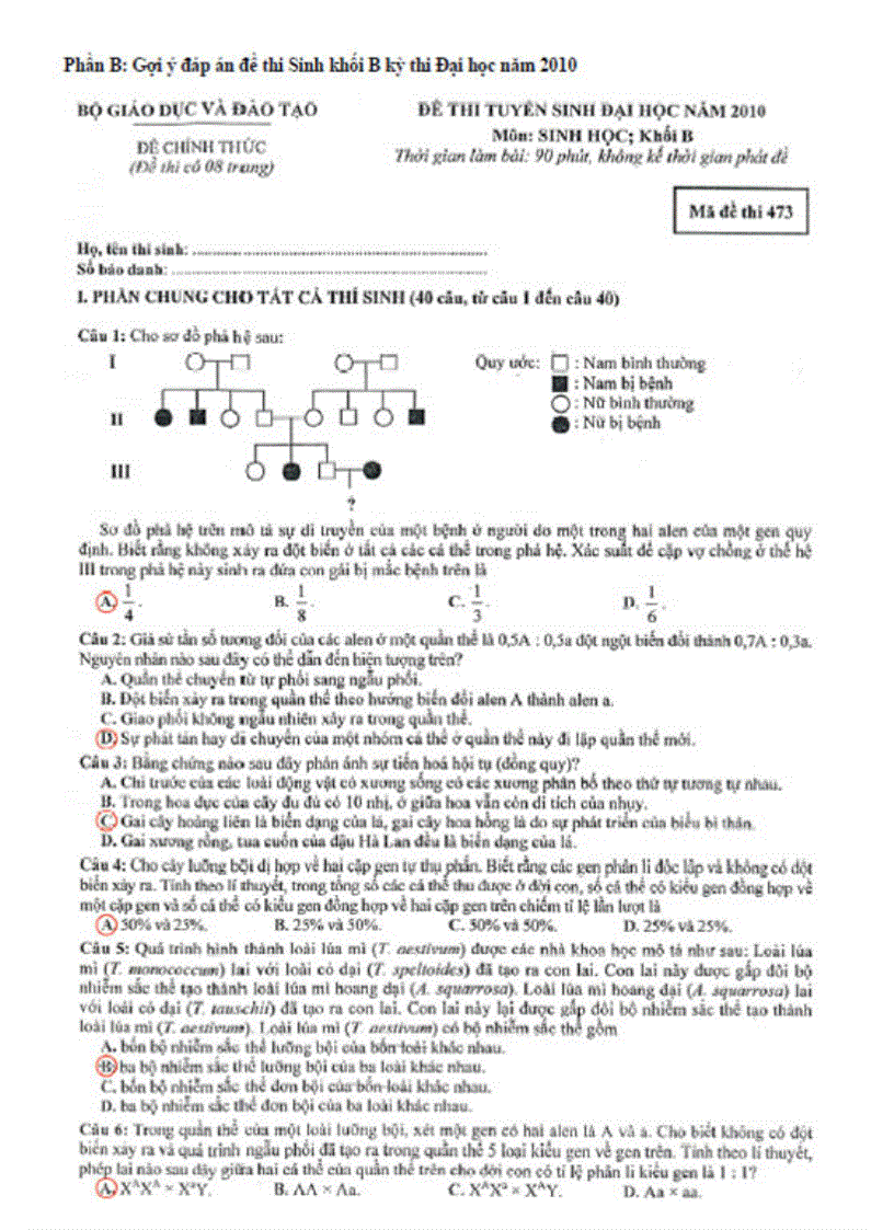 image for page Đề đáp án thi đh 2010 sinh b 473