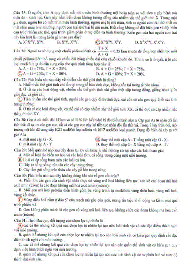 image for page Đề đáp án thi đh 2010 sinh b 473