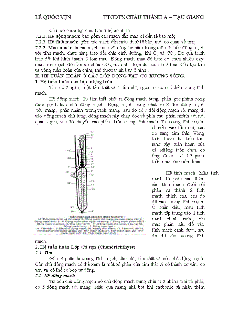 Dong vat co xuong song