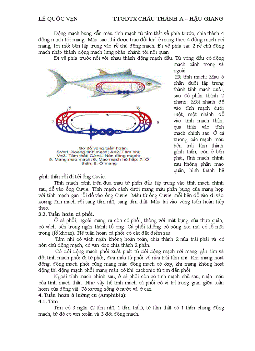 image for page Dong vat co xuong song