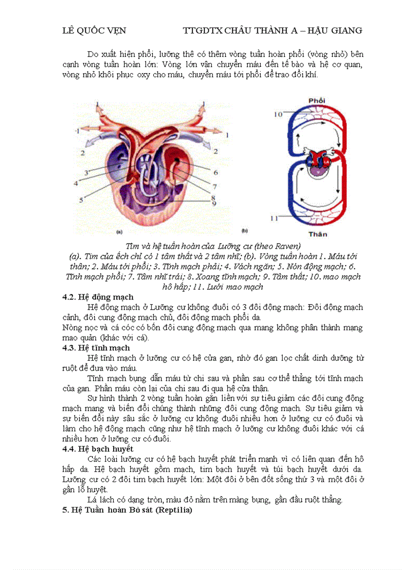 image for page Dong vat co xuong song