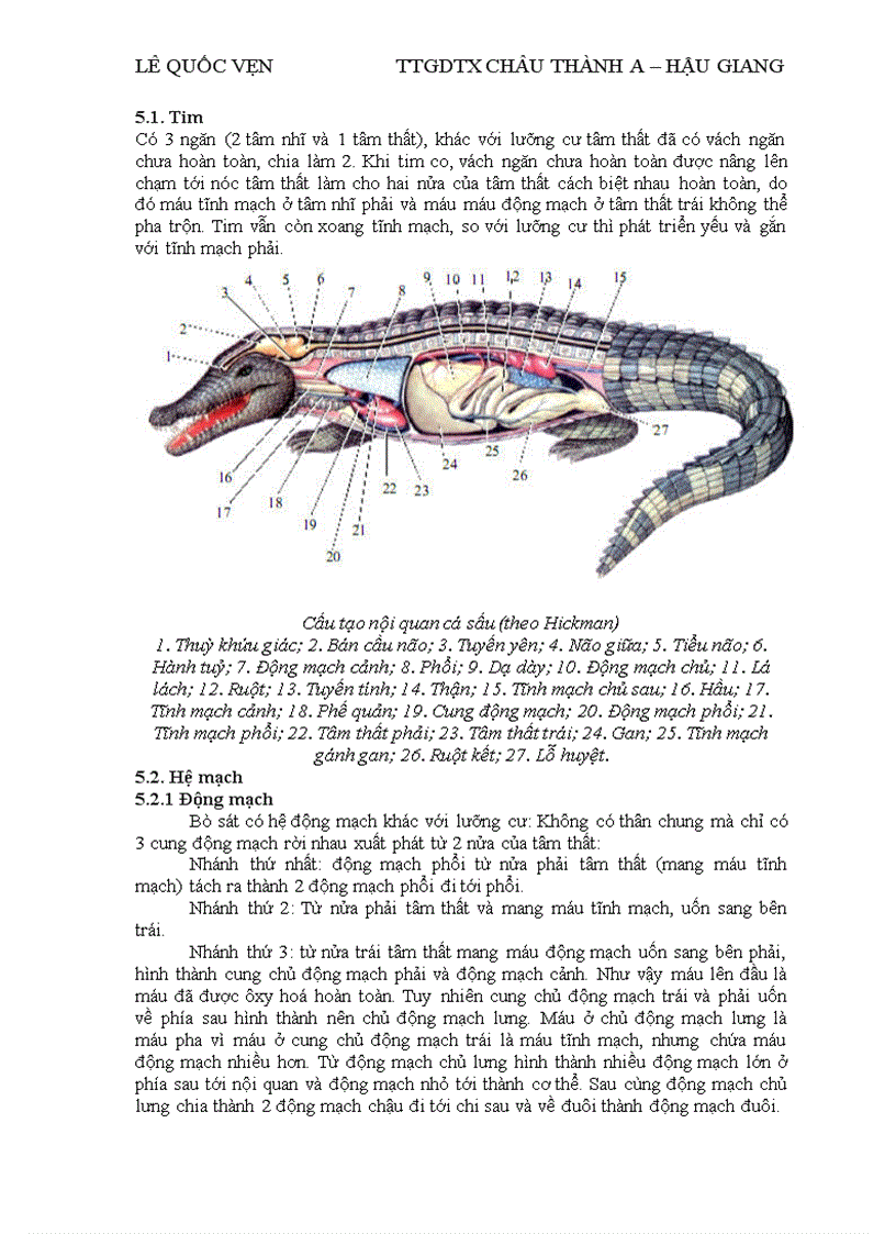 image for page Dong vat co xuong song