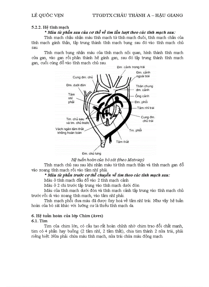 image for page Dong vat co xuong song