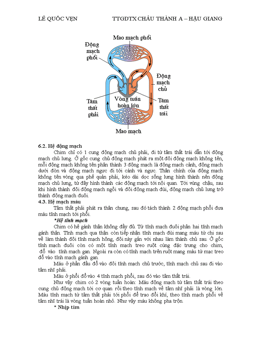 image for page Dong vat co xuong song