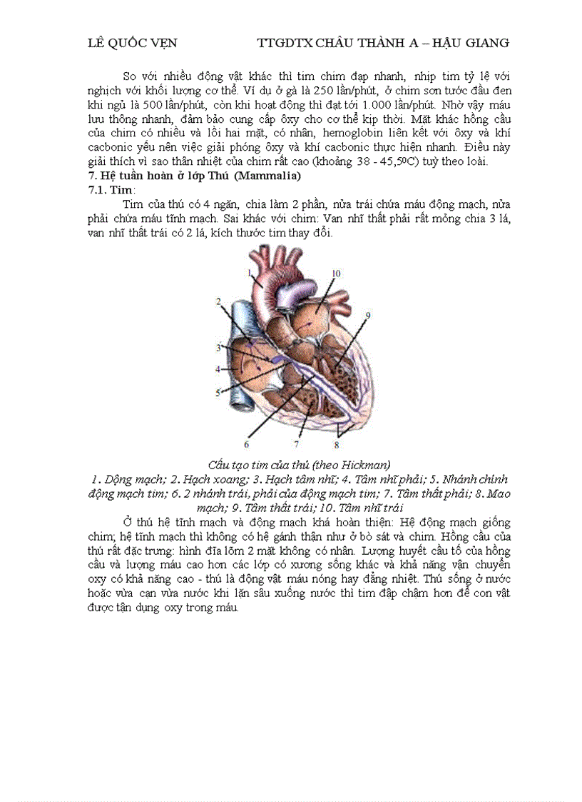 image for page Dong vat co xuong song