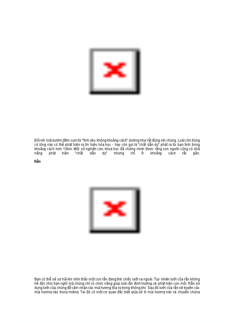 image for page Dong vat di cu