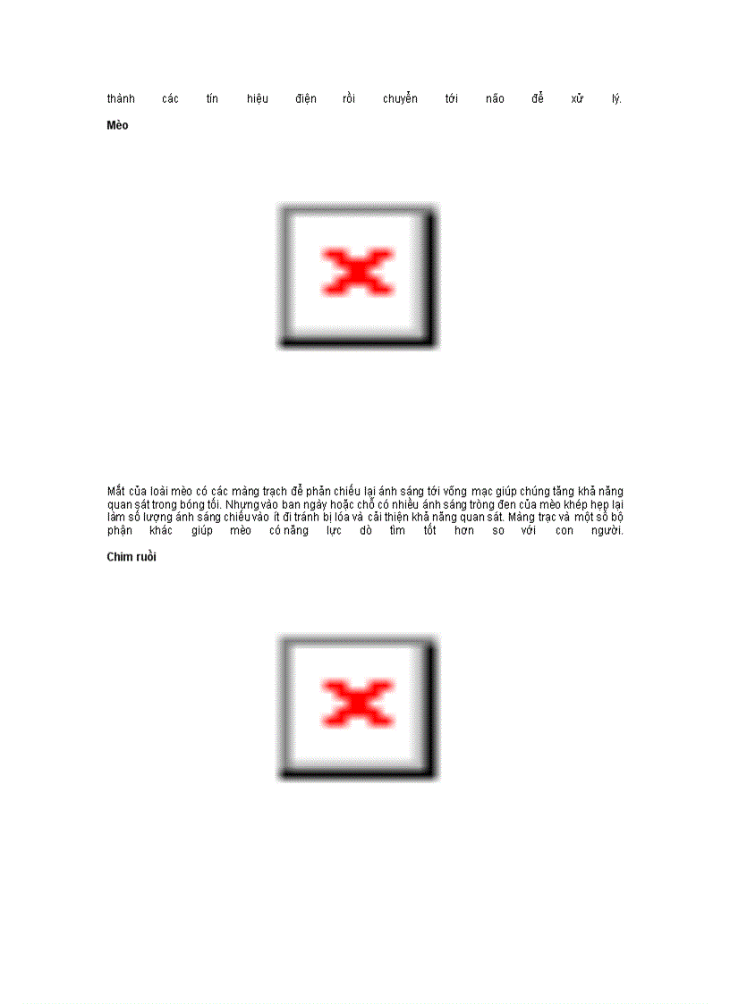 image for page Dong vat di cu