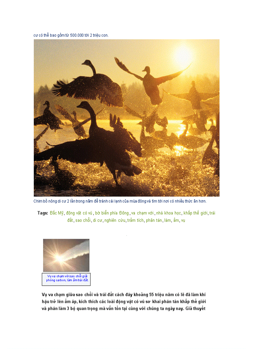 image for page Dong vat di cu