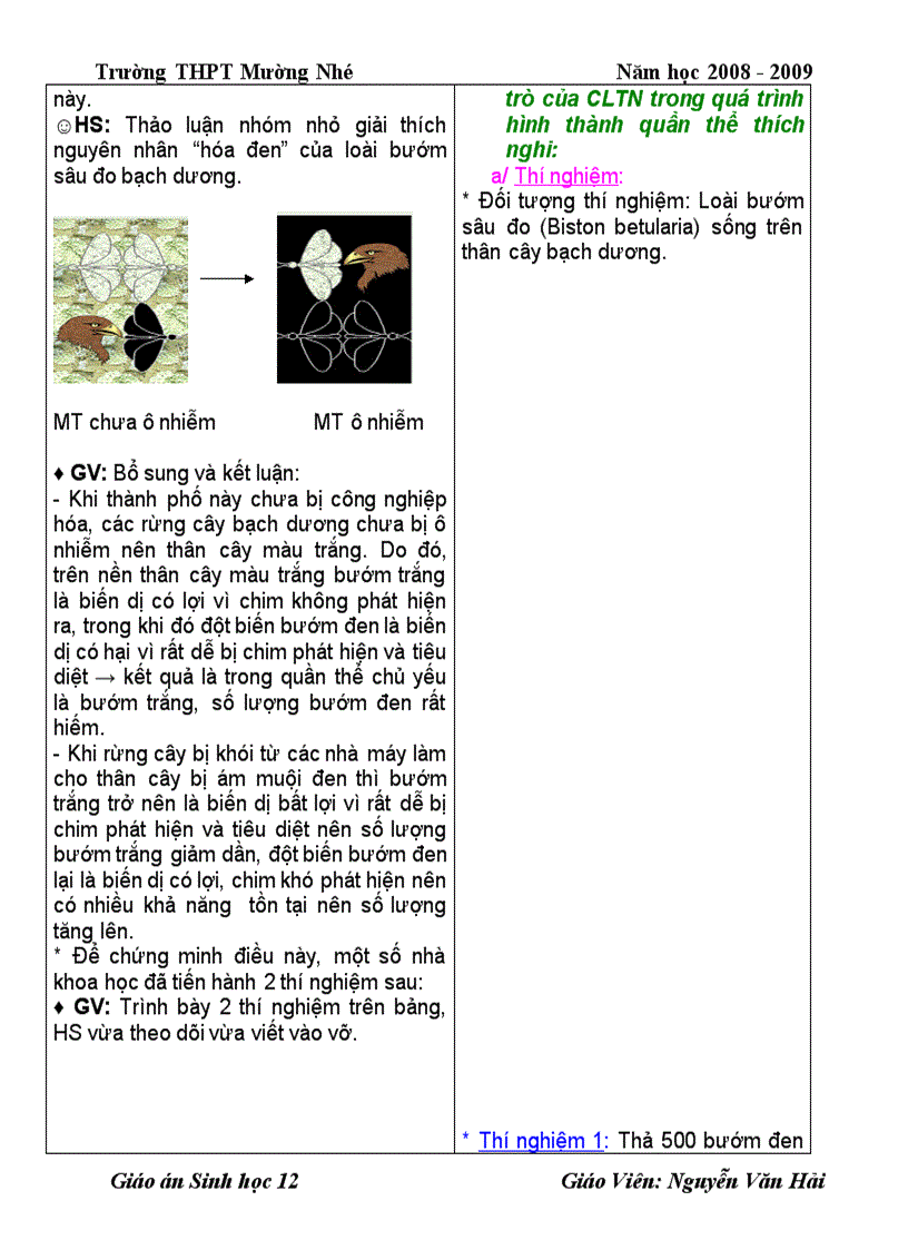 image for page Giáo án 12 cả bộ