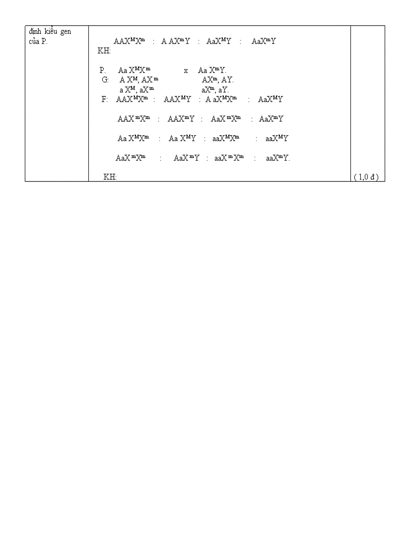 image for page Giáo án 12 on thi kỳ I