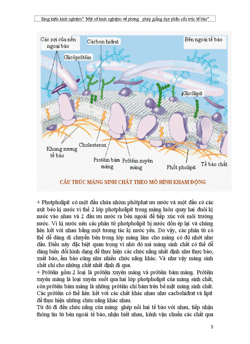 image for page Giao an on tot nghiep 12