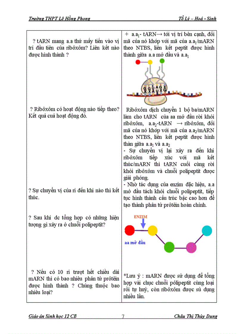 image for page Giáo án Sinh 12 CB