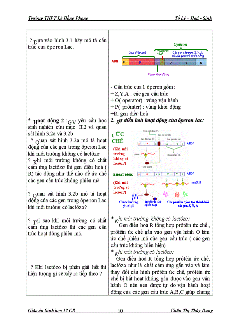 image for page Giáo án Sinh 12 CB