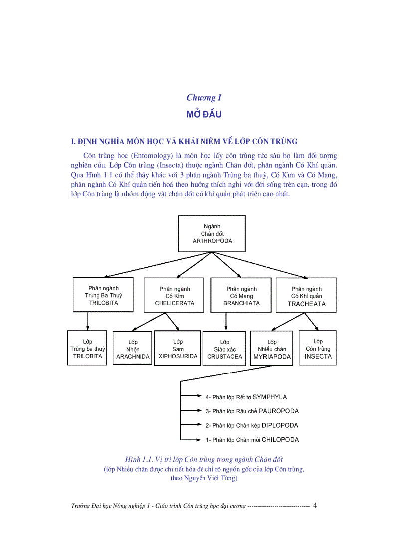 image for page Giáo trình côn trùng học