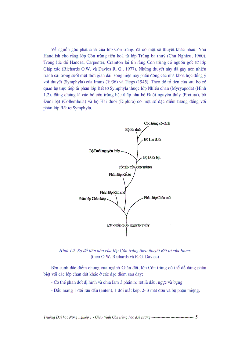 image for page Giáo trình côn trùng học