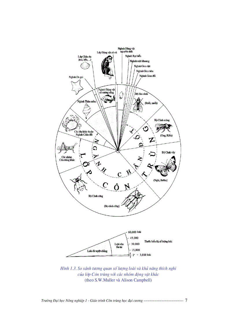 image for page Giáo trình côn trùng học