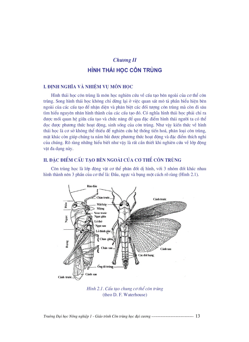 image for page Giáo trình côn trùng học