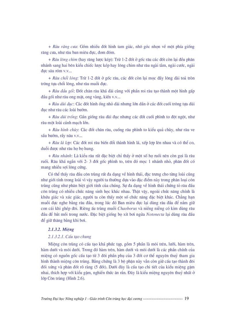 image for page Giáo trình côn trùng học