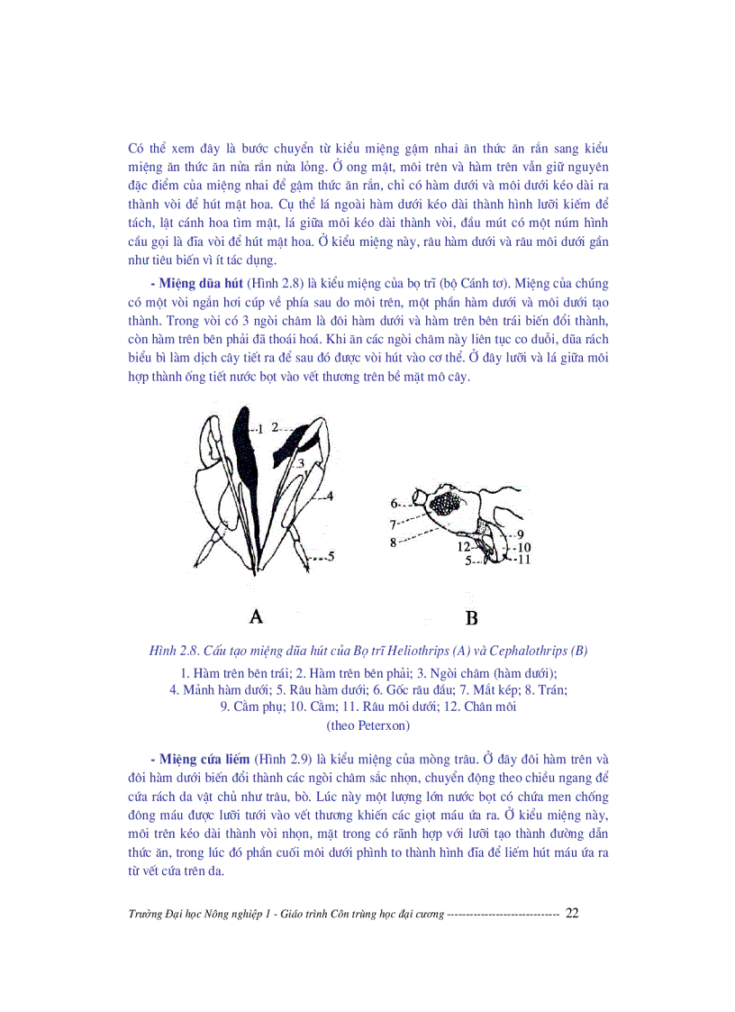 image for page Giáo trình côn trùng học