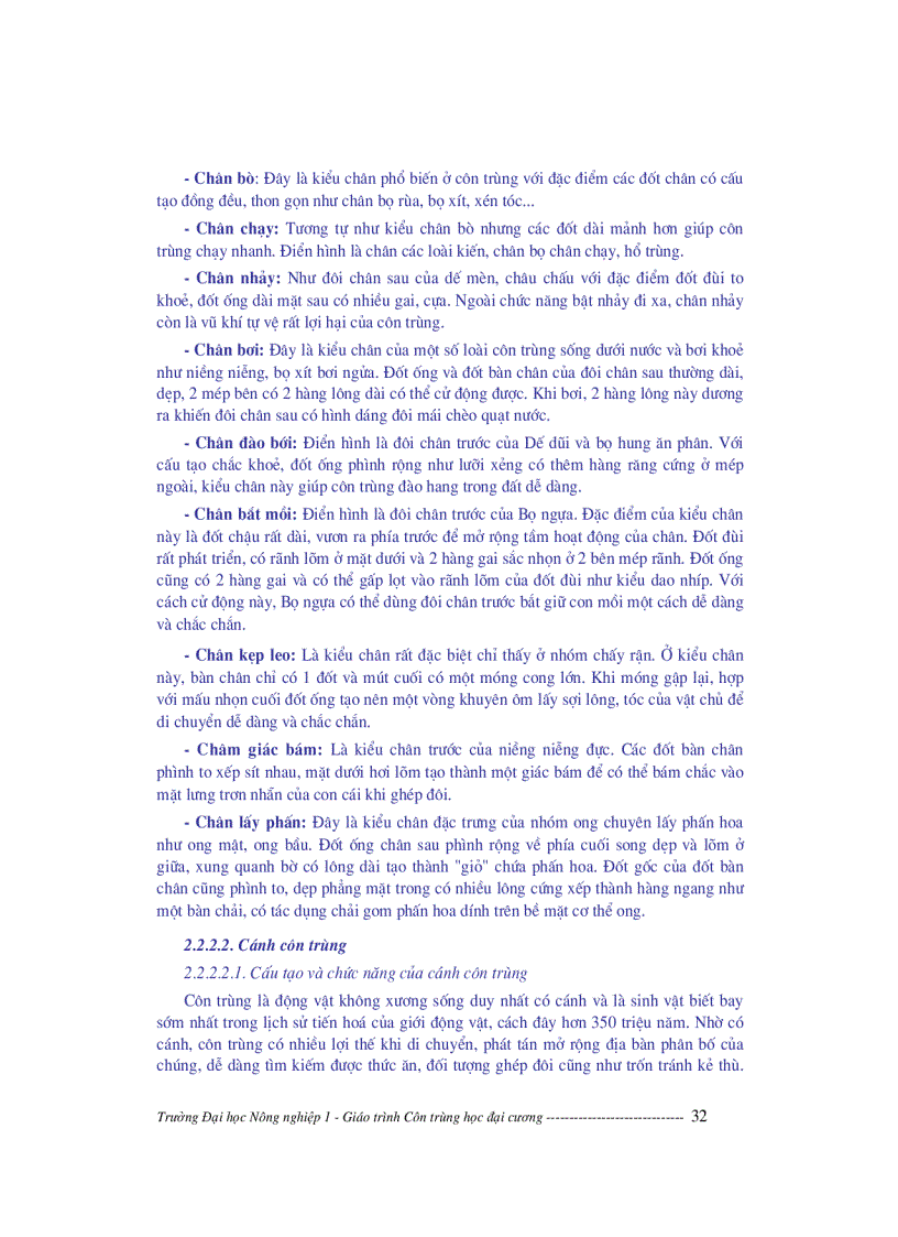 image for page Giáo trình côn trùng học