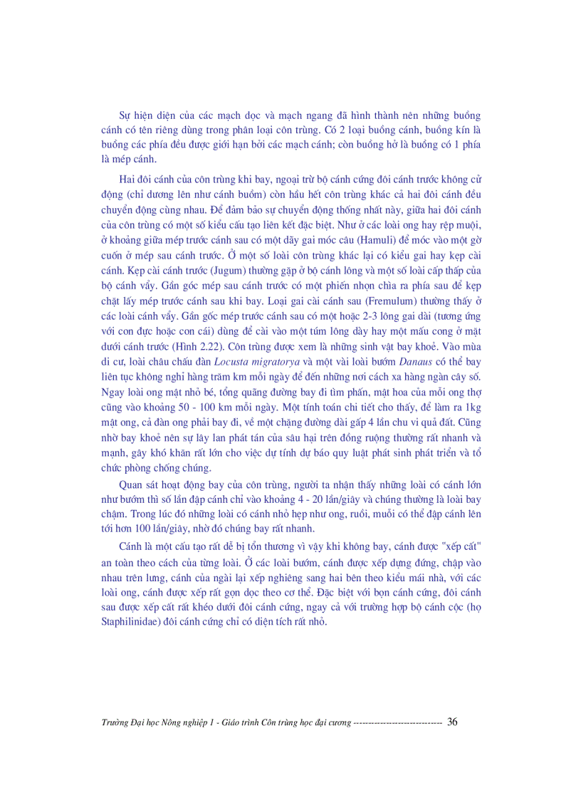 image for page Giáo trình côn trùng học