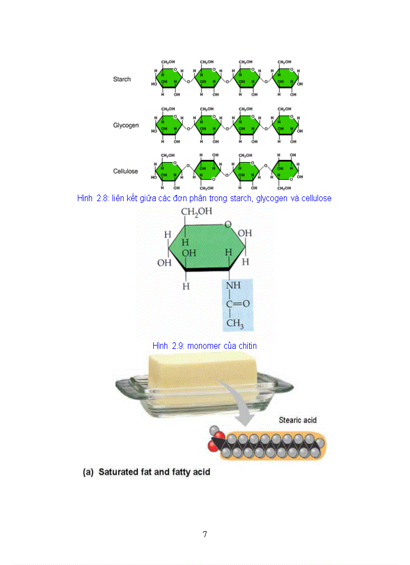 image for page Giao trinh Sinh hoc đai cuong Phan 2 Sinh hoc te bao