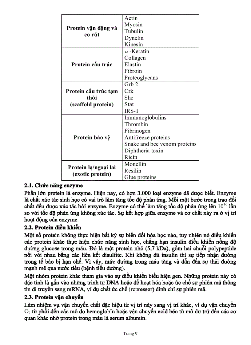 image for page Giáo trình sinh học phân tử