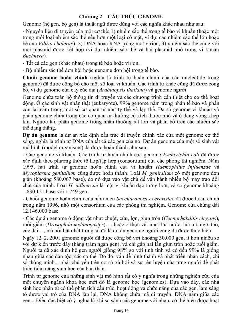 image for page Giáo trình sinh học phân tử