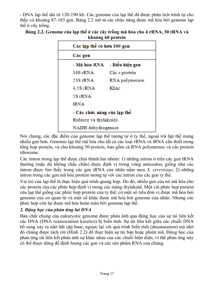 image for page Giáo trình sinh học phân tử