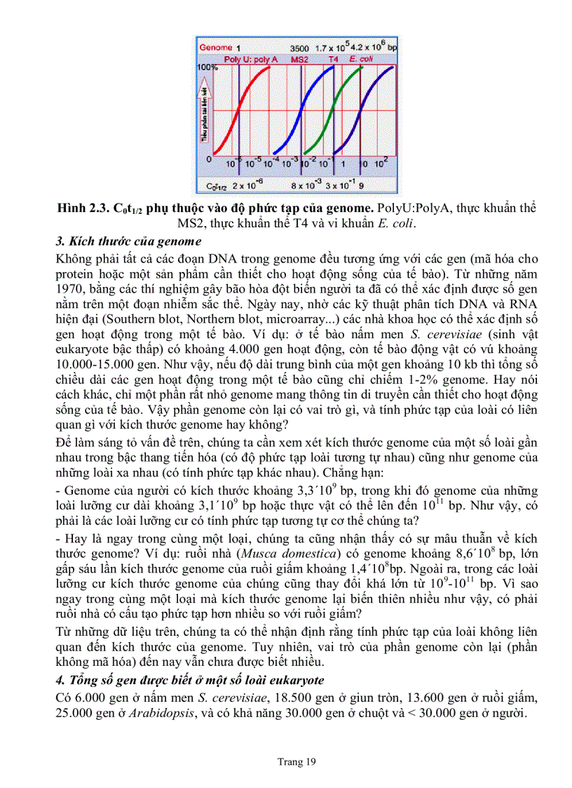 image for page Giáo trình sinh học phân tử