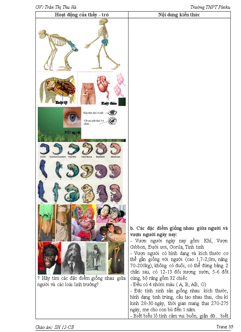 image for page Giáo án Sinh 12 CB 1