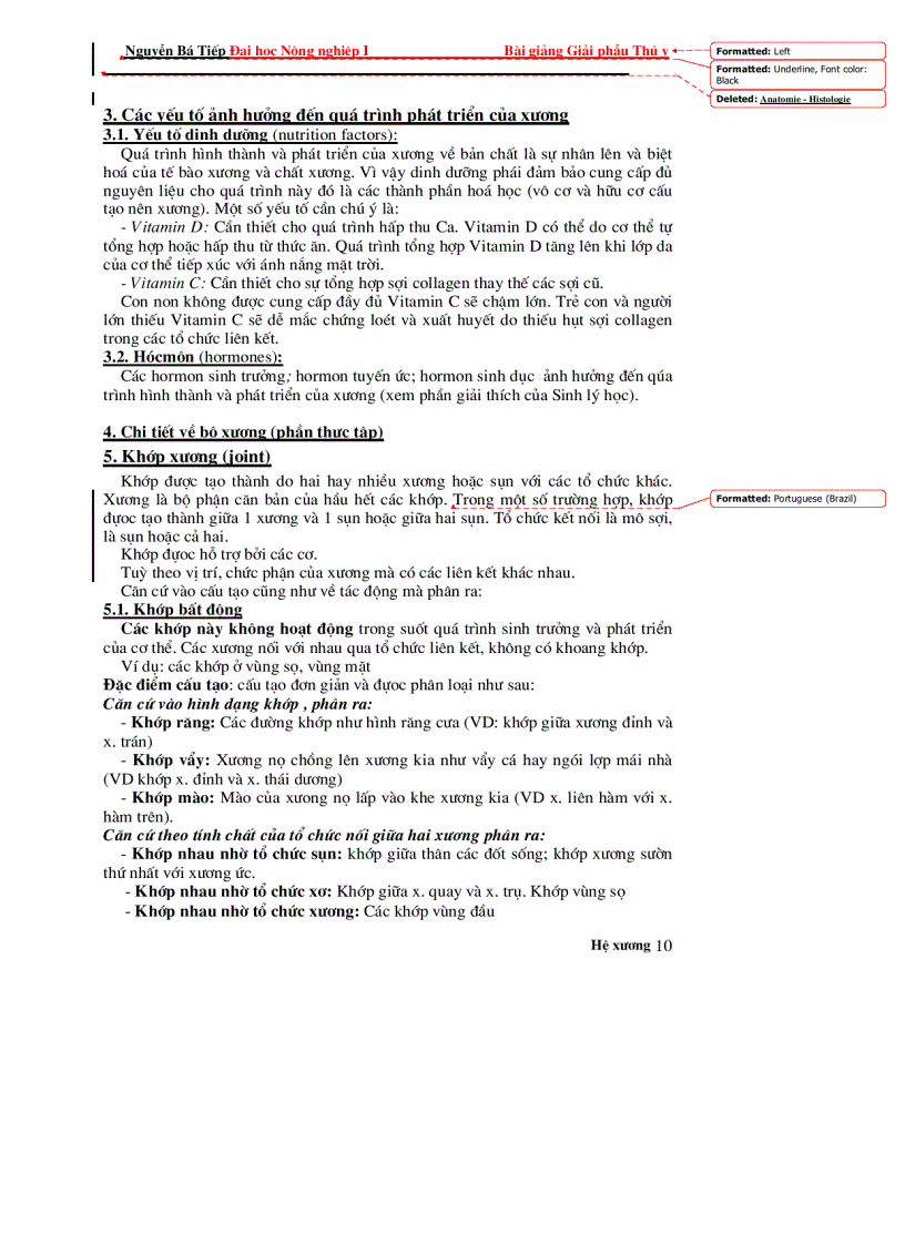 image for page Hệ Xương GPTY