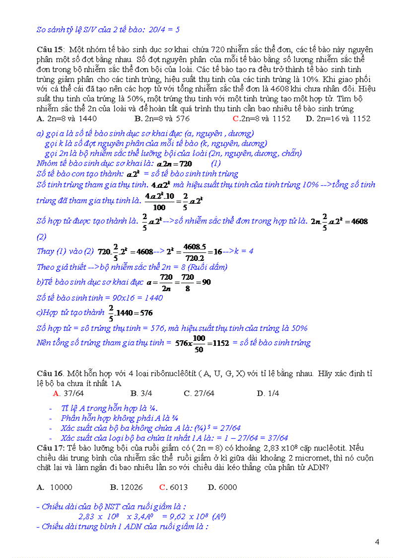 HSG lần 4 Sinh 12 Nghĩa Hưng A