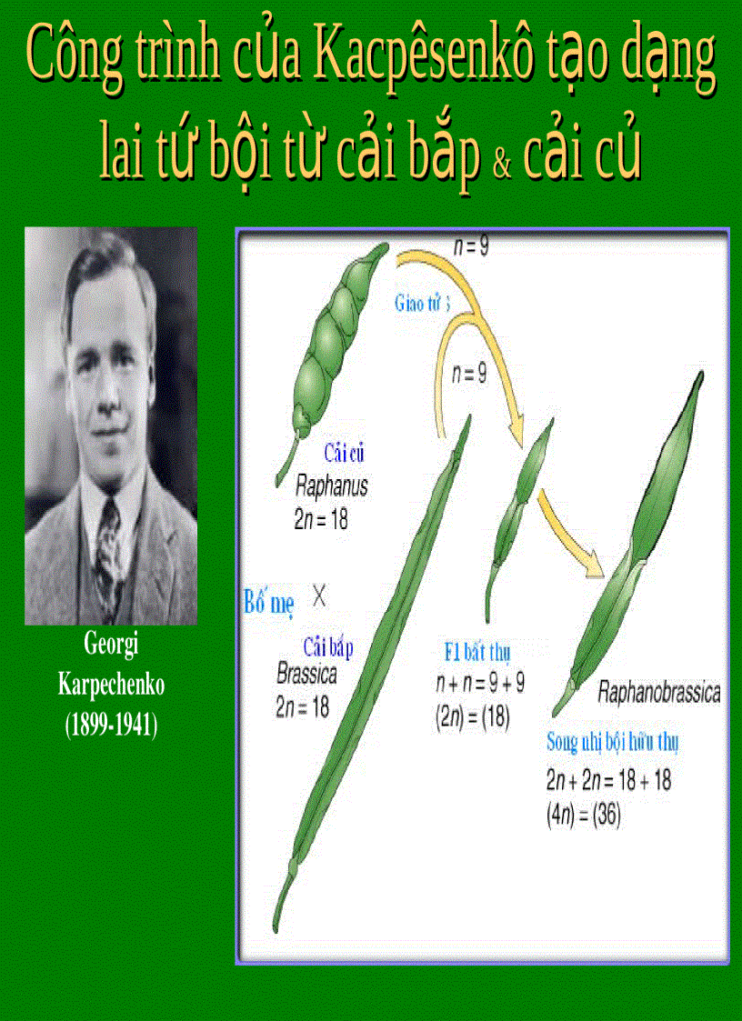 image for page Lai khác loài