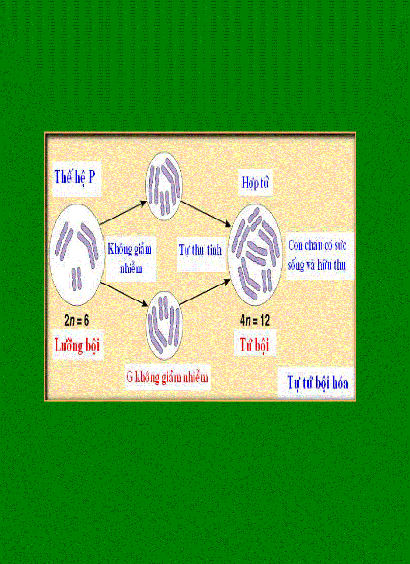 image for page Lai khác loài