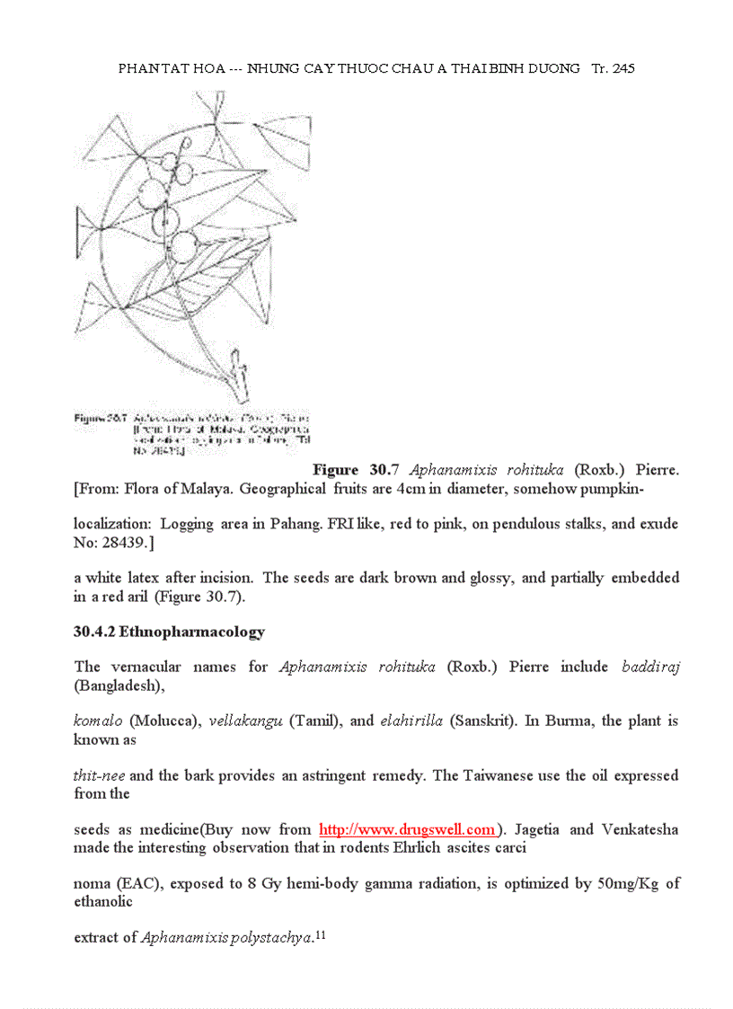 image for page Những Cây Thuốc Châu Á TBD