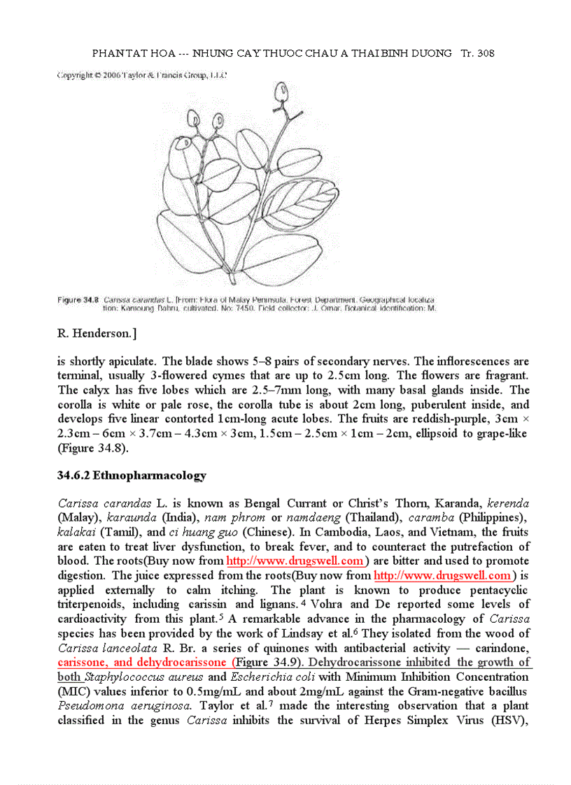 image for page Những Cây Thuốc Châu Á TBD