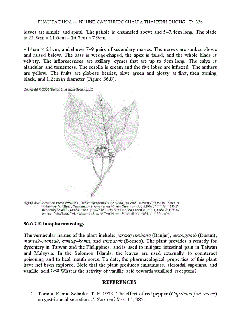 image for page Những Cây Thuốc Châu Á TBD