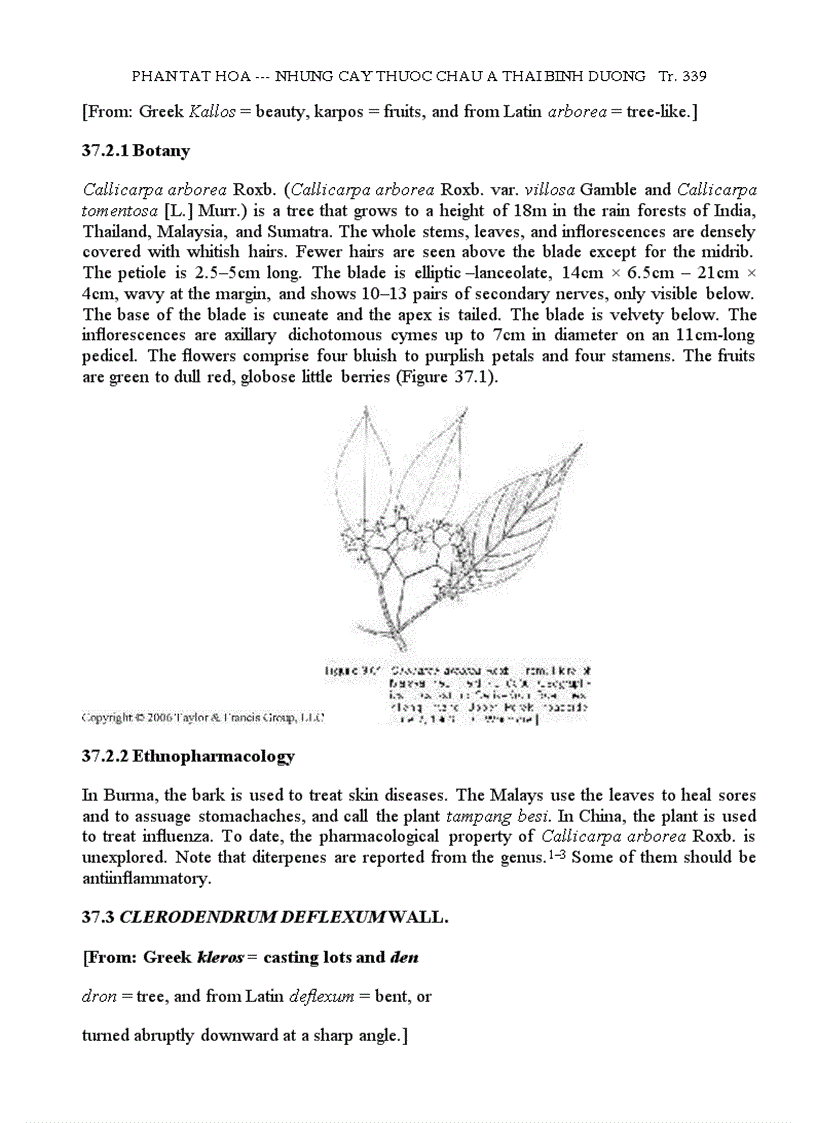 image for page Những Cây Thuốc Châu Á TBD