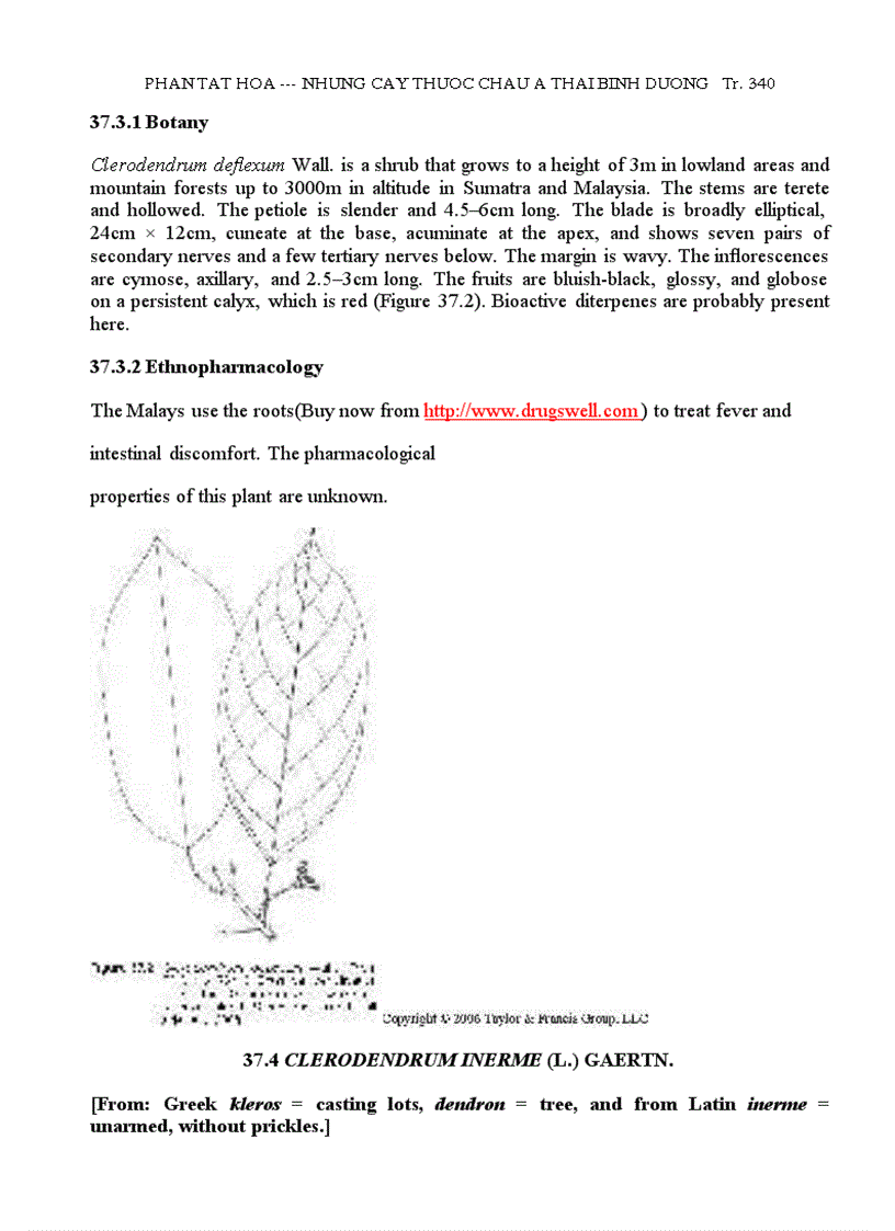 image for page Những Cây Thuốc Châu Á TBD