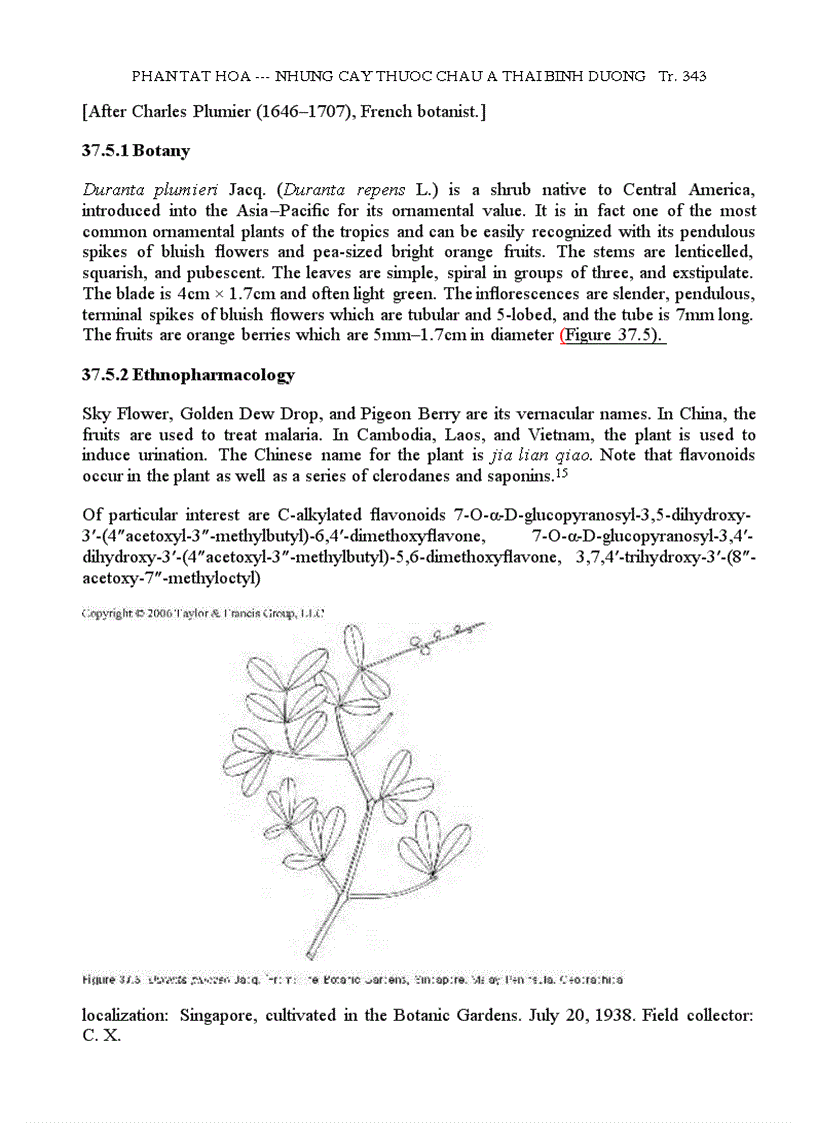 image for page Những Cây Thuốc Châu Á TBD