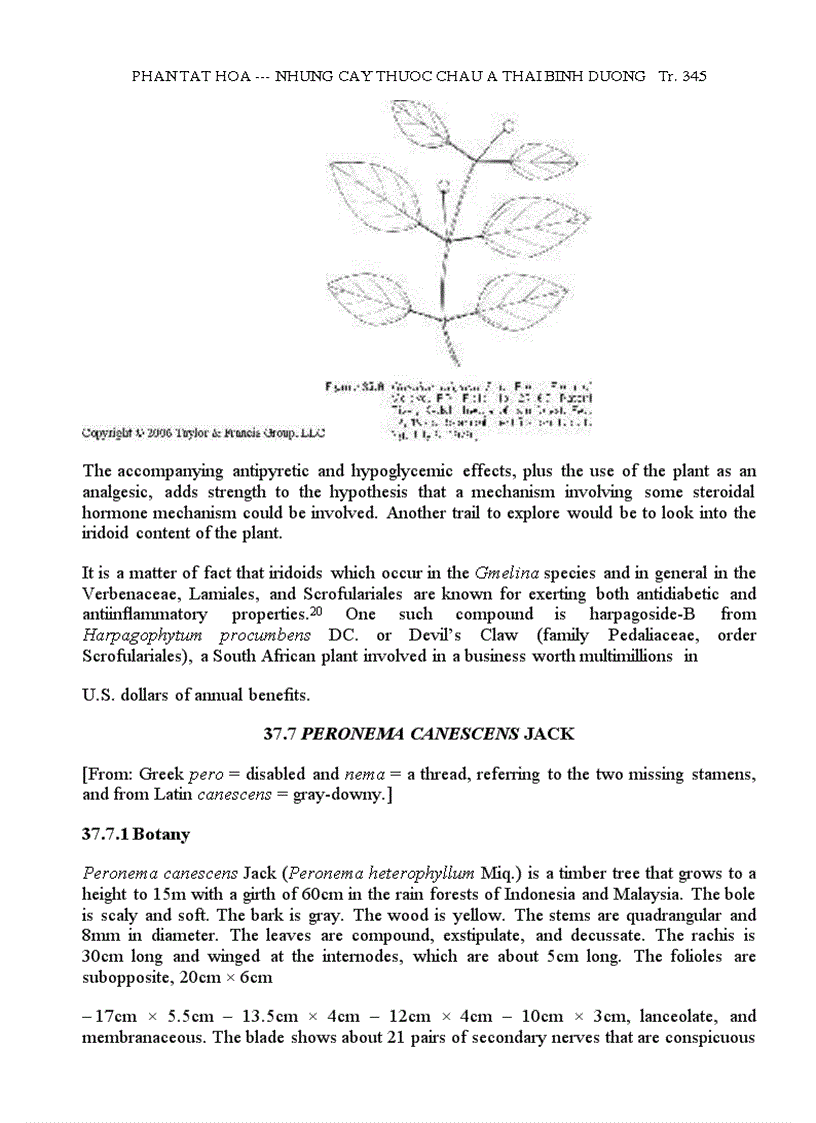 image for page Những Cây Thuốc Châu Á TBD